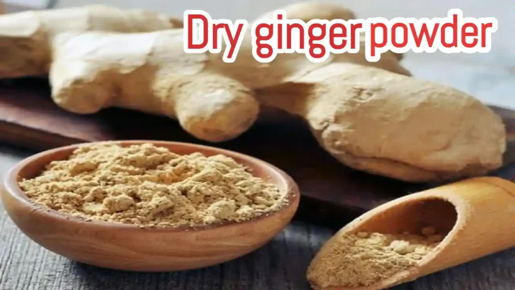 Dry ginger powder benefits use consuming method and precautions