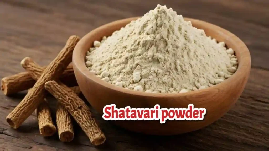 Shatavari powder benefits nutrients and how to consume