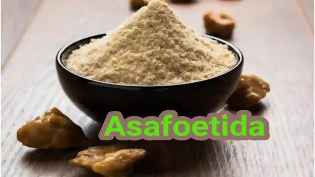 Asafoetida benefits for skin hair nutrients and precautions