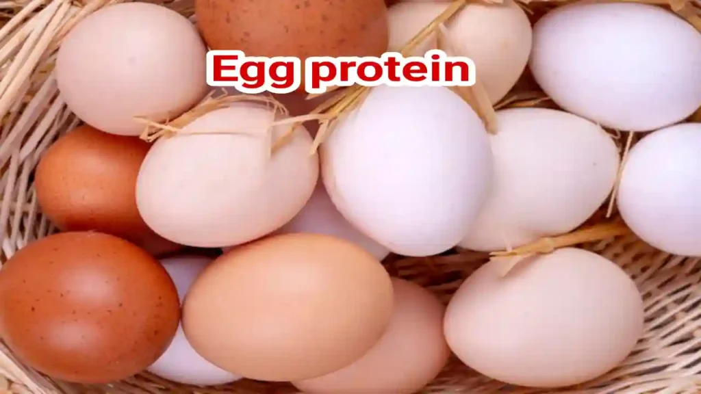 How much protein in 1 egg benefits and recipe