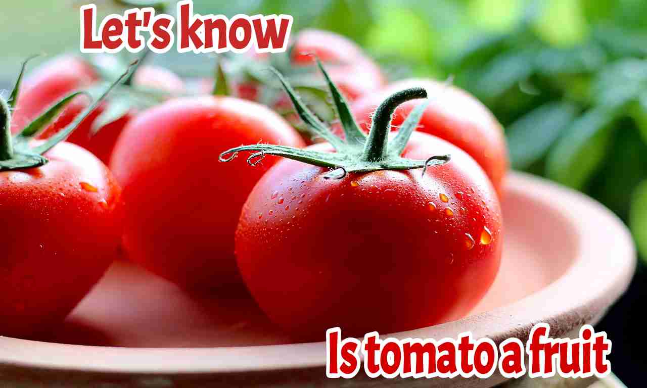 Is tomato a fruit or vegetable
