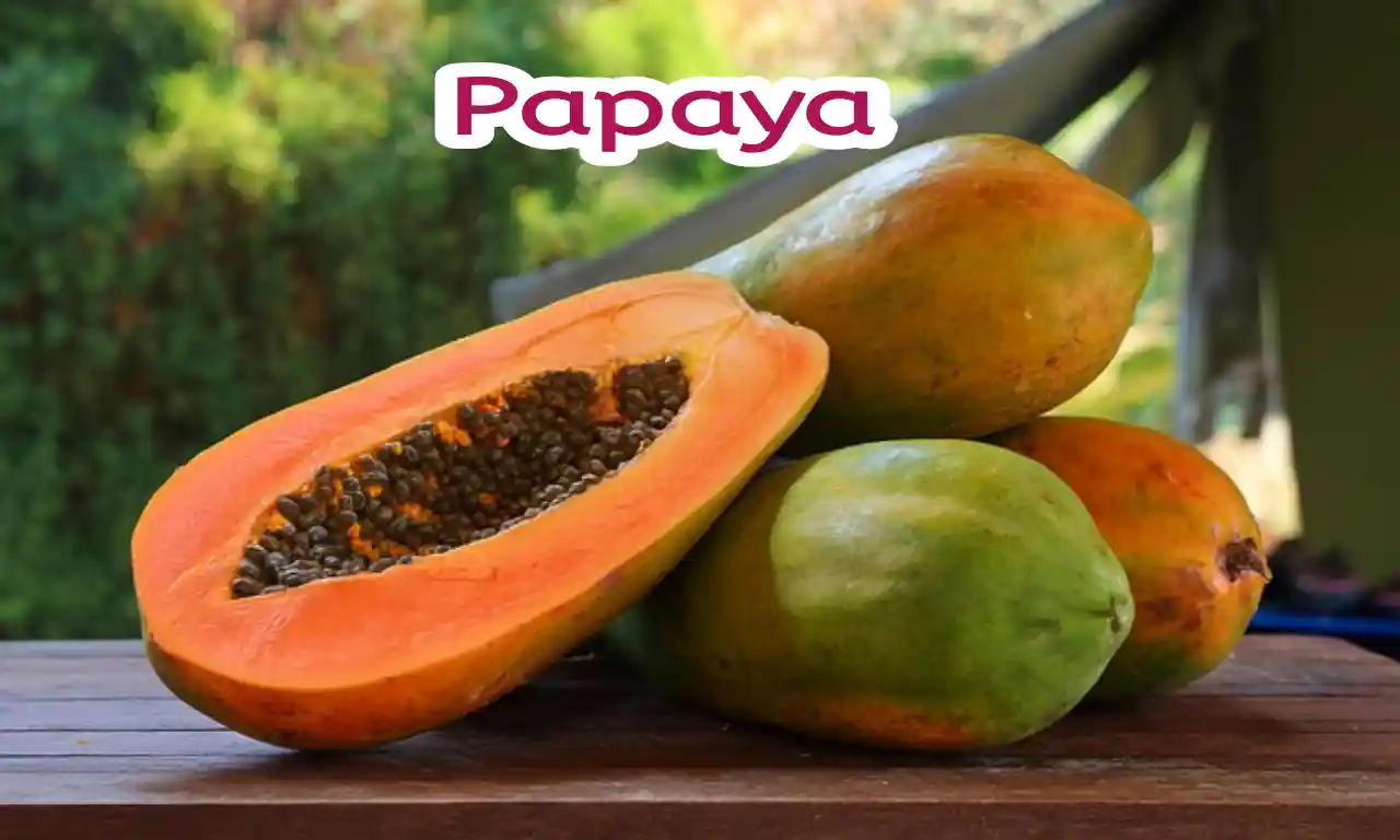 How much papaya should i eat per day - Wild Based Vitamin