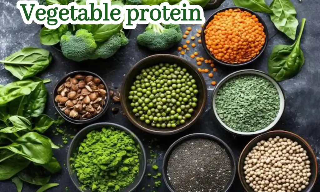 25 Vegetable protein rich food for your healthy lifestyle
