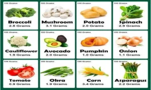 Vegetable protein rich food
