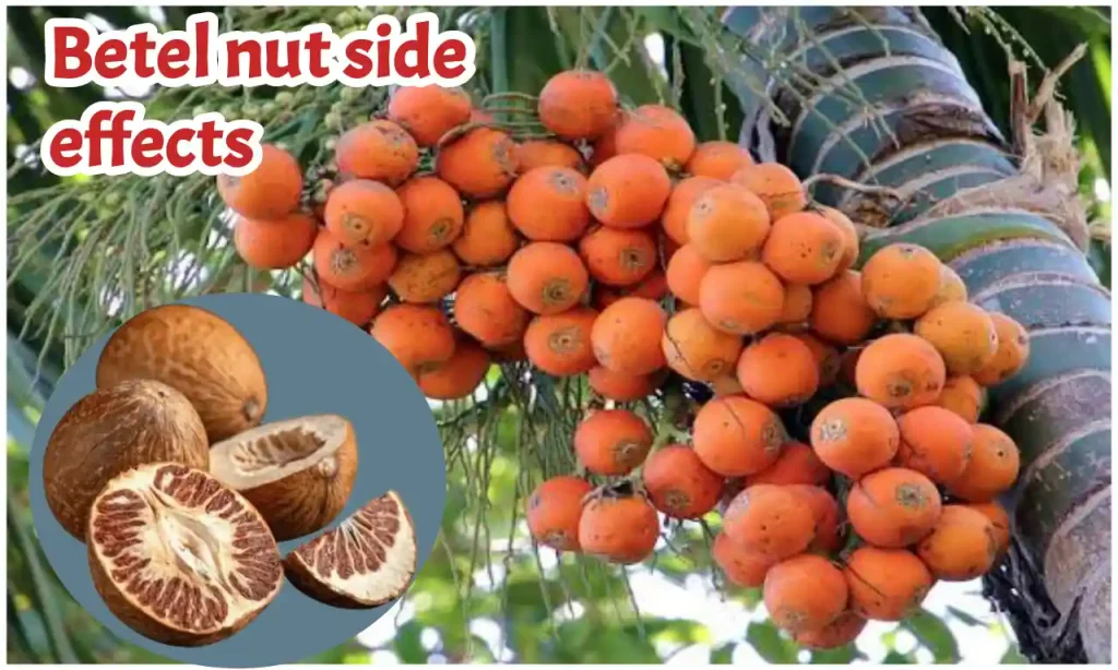 Betel nut side effects